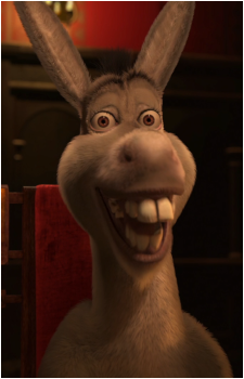 Image 7 of Donkey