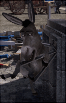 Image 16 of Donkey