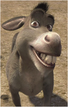 Image 2 of Donkey
