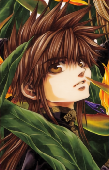 Son Goku {Saiyuki}