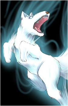Yuki's image