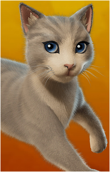 The Best Cat's image