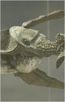Phalanx's image
