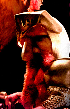 Knighty Knight's image