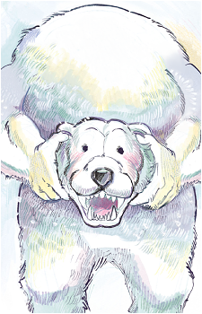 Kazuyoshi Kuge's image