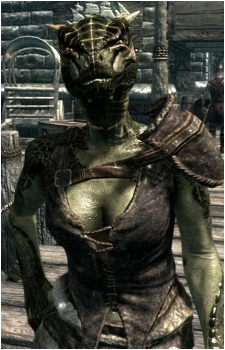 Image source: <a href="https://elderscrolls.fandom.com/ru/wiki/%D0%94%D0%B8%D0%B4%D0%B6%D0%B0" title="External link" target="_blank">https://elderscrolls.fandom.com/ru/wiki/%D0%94%D0%B8%D0%B4%D0%B6%D0%B0</a> Deeja