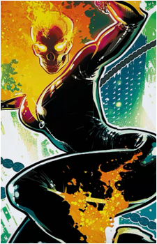 Black Cat (Felicia Hardy)