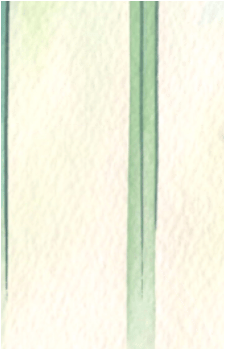 Image 48
