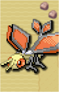Image 37