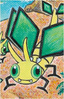 Image 22