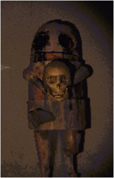 Image 35