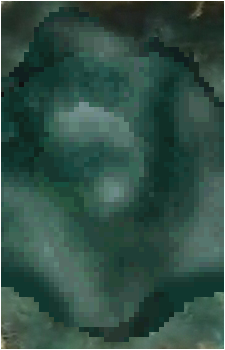 Agwanda's image