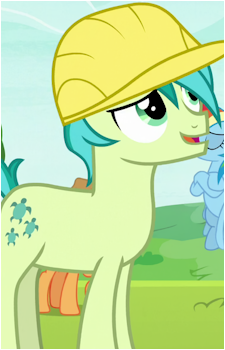 Sandbar