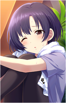 Hotaru Shiragiku