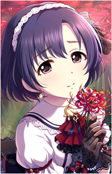 Hotaru Shiragiku's image
