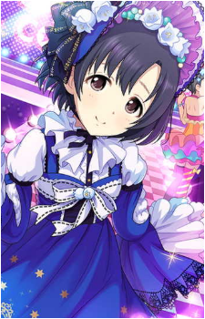Hotaru Shiragiku