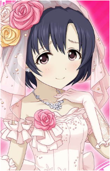 Hotaru Shiragiku