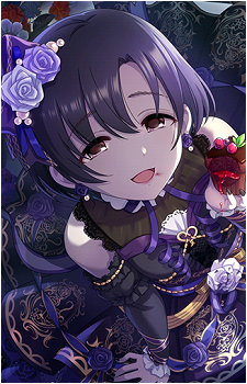 Hotaru Shiragiku