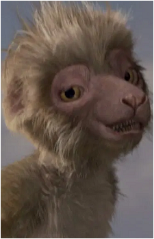 Zini