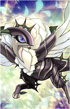 White Rose Dragon's image