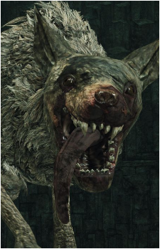 Royal Rat Authority's image