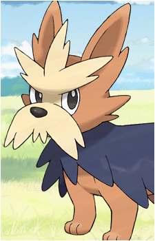 Lillipup