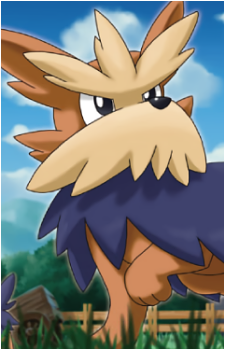 Lillipup