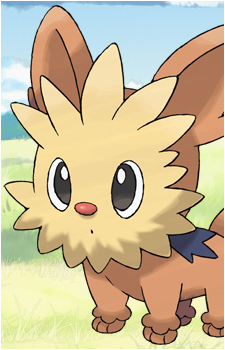 Lillipup's image