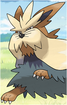 Lillipup