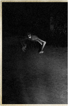 Michael Davies