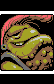 Road Toad