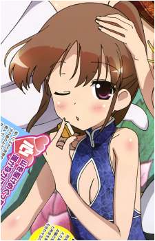 Shizuno Takakamo