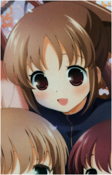 Shizuno Takakamo