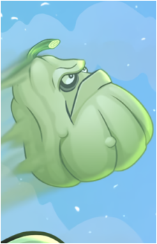 Squash