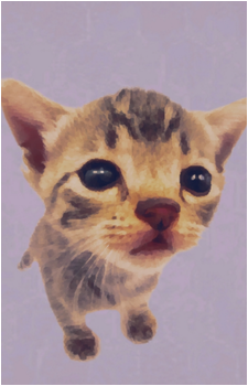 Elgatito's image