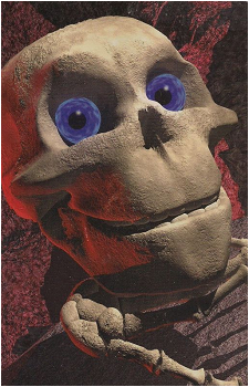 Mr. Bones