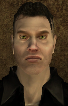 Romero's image
