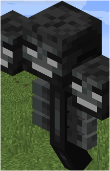 The Wither's image