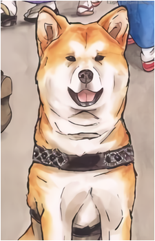 Hachiko's image