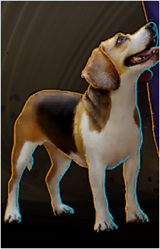 Porthos