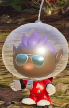 Bernard's image