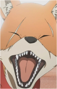 Fox {P4}
