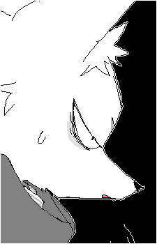 Shirogane {IS}