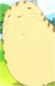 Dorj