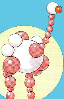 Guggler's image