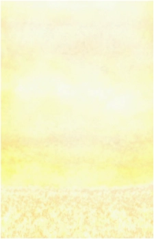 Image 23