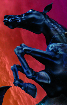 Thestral