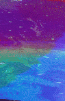 Image 53