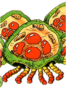Metroid