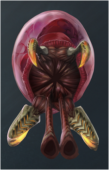 Metroid